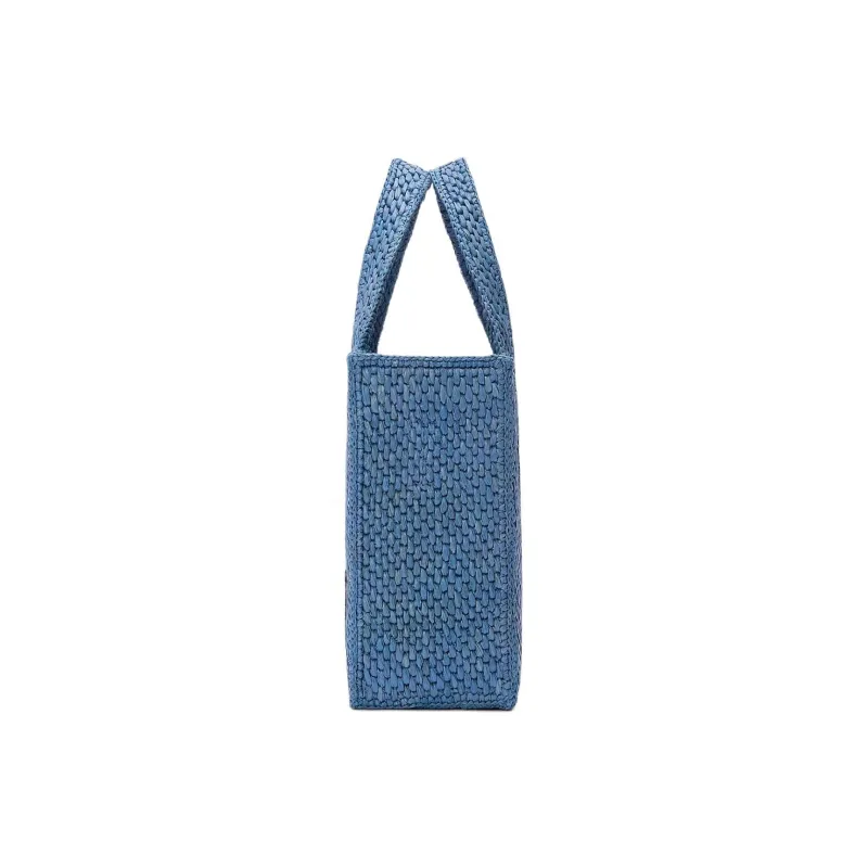LOEWE Font Tote Raffia Tote Bag, Shopping Bag, Handbag Mini Women's Light Blue-3