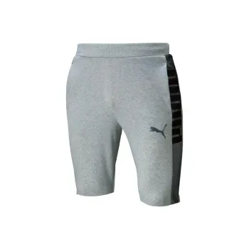 PUMA Training Shorts Sports Shorts Men Gray