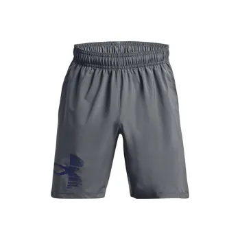 Under Armour Sports Shorts Men Gray