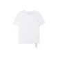 Standard White-WT