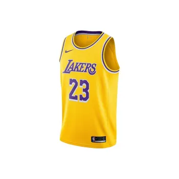 Nike LeBron James Los Angeles Lakers 2023/24 Icon Edition Big Kids' Nike Nba Swingman Jersey