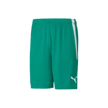 PUMA TeamLIGA Men's Soccer Shorts