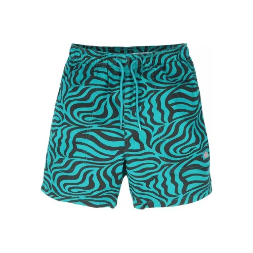 Dickies Casual Shorts Men's Green