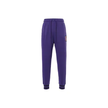 Jordan Casual Pants Men's Sky Purple