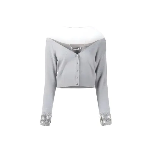 Alexander Wang Sweaters Women's Gray