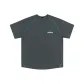 Dark Charcoal Gray
