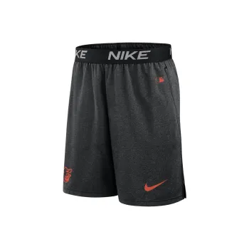 Nike New York Mets Authentic Collection Men's Nike Dri FIT Mlb Shorts