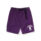 Purple PPX