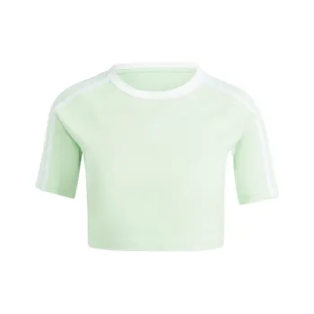 Adidas Originals Raglan Sleeve T Shirt Women's Green