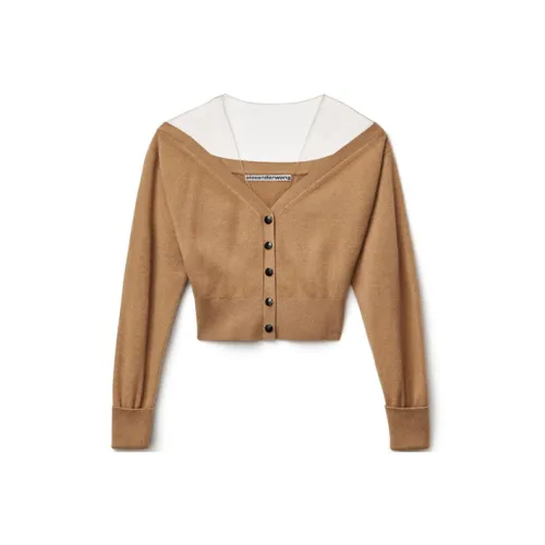 Alexander Wang Sweaters Women's Light Brown