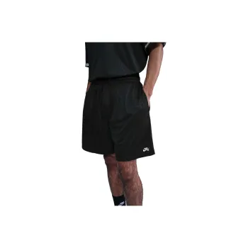 Nike Sb Dri FIT Skate Shorts