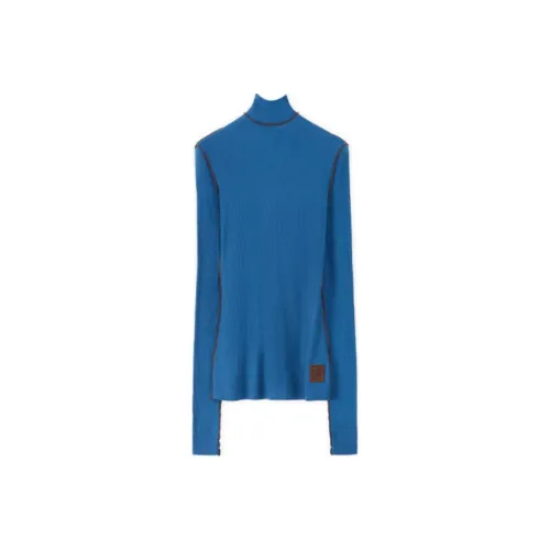 LOEWE FW21 Sweater Women's Blue