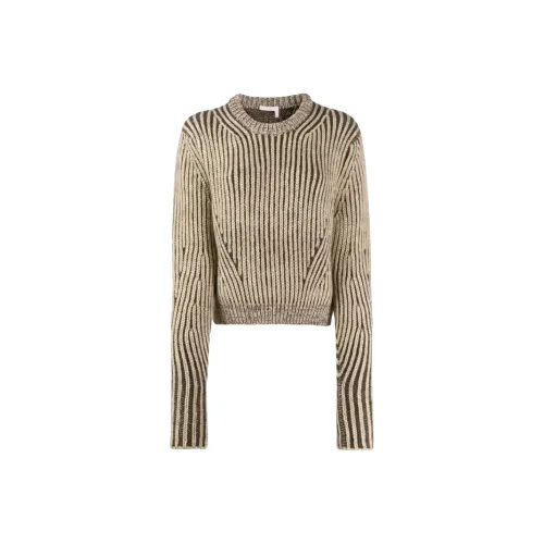 Chloé Sweaters Women's Metallic