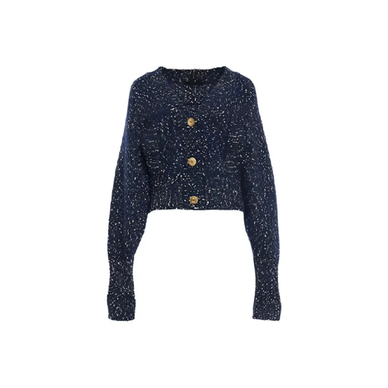 BESIONIA FW24 Sweater Women's Blue Pattern-0