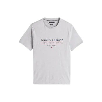 Tommy Hilfiger Crew neck T shirt