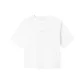 Papyrus White