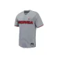 Wolf Gray