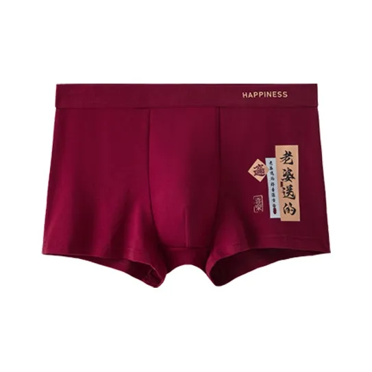 ROBINHOOD Underpants Men's Combo Set-0