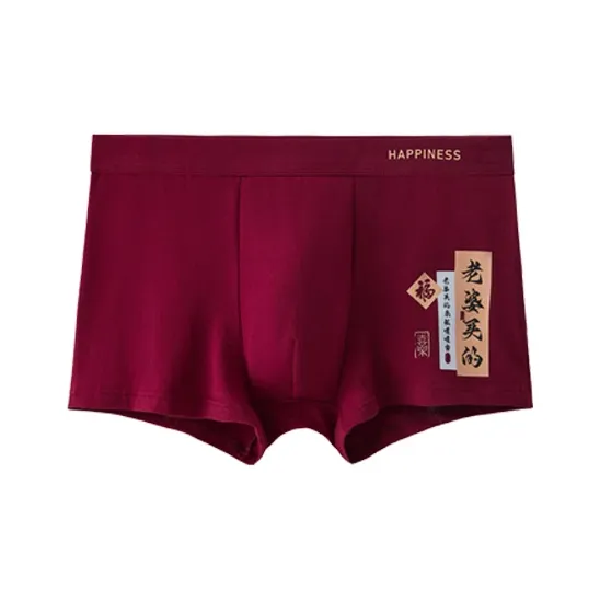 ROBINHOOD Underpants Men's Combo Set-4