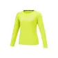 40 Winter Jasmine Colors