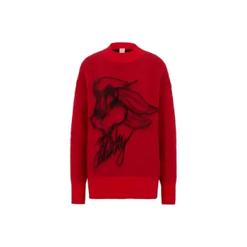 HUGO BOSS HUGO BOSS X LOONEY TUNES SS23 Sweater Women's Red, Recommendation