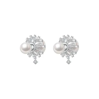 ZEGL 925 Sterling Silver Needle Earrings Women's