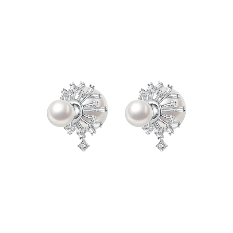 ZEGL 925 Sterling Silver Needle Earrings Women's-0