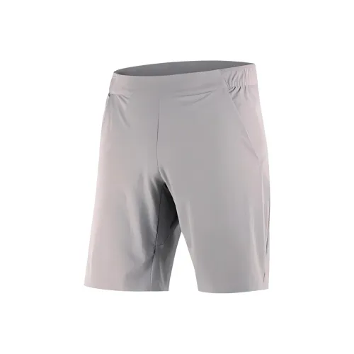 SALOMON WAYFARER Casual Shorts Men's Frost Gray