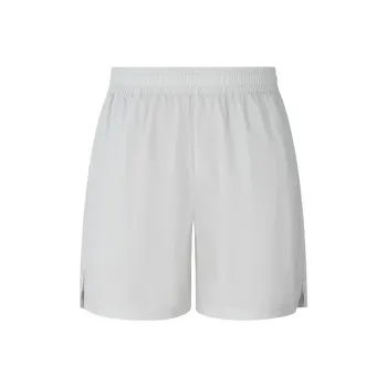 Asics Sports Shorts Men Gray