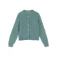 Blue Mint