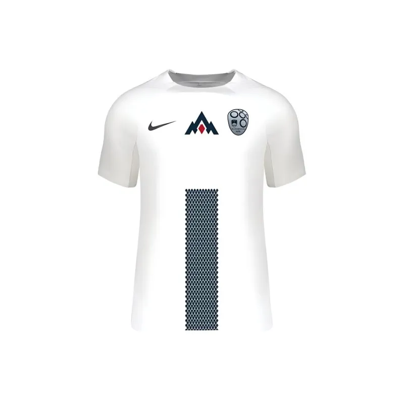 Nike Slovenia National Team Jersey Soccer Jerseys Men's White-0