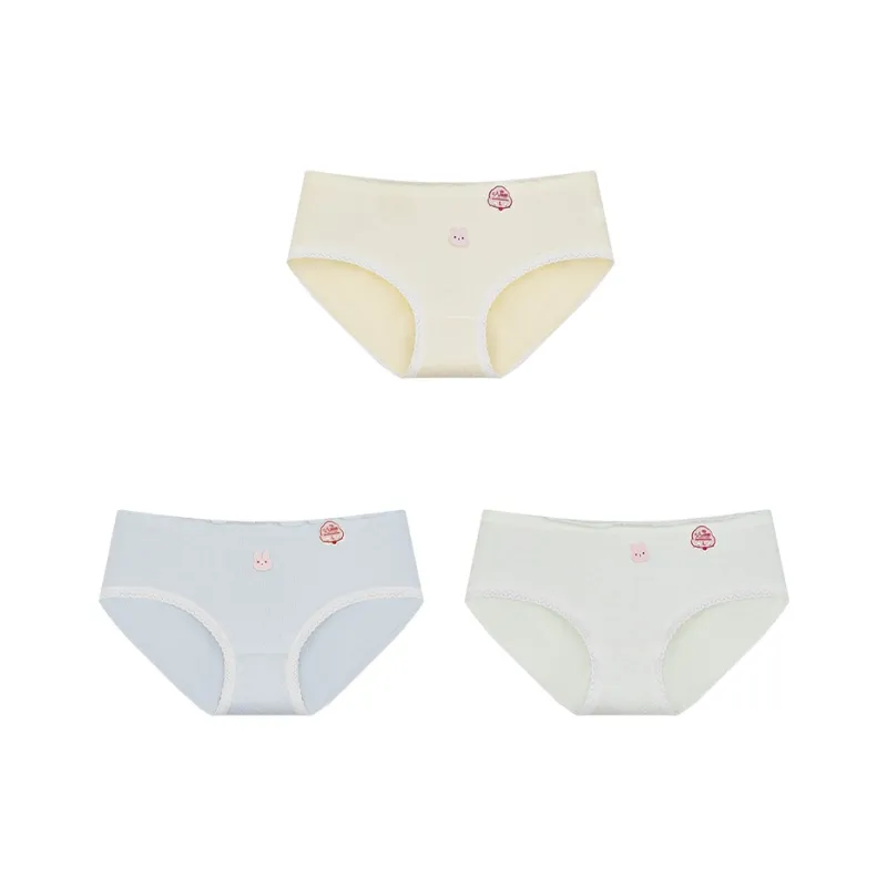 Herbal Primer Underpants Women's Combo Set-30