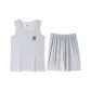Light Gray 1903