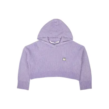 PALM ANGELS Pxp Sweater Ribbed Cropped Hoodie 'Purple'