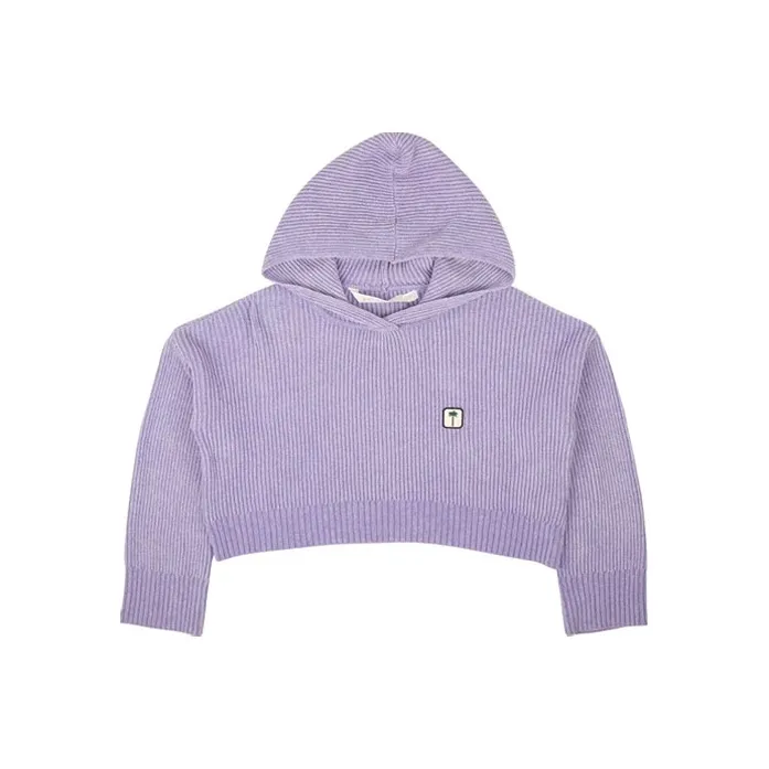 PALM ANGELS Pxp Sweater Ribbed Cropped Hoodie 'Purple'-0