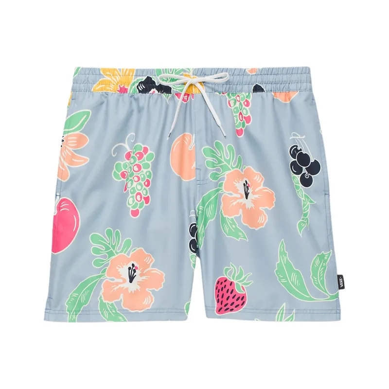 Vans Primary Print Elastic 17'' Boardshorts Casual Shorts Men's Blue-0