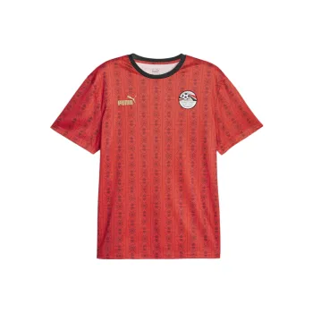 PUMA Soccer Jerseys Men Red