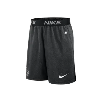 Nike New York Mets Authentic Collection Practice Men's Nike Dri-FIT Mlb Shorts