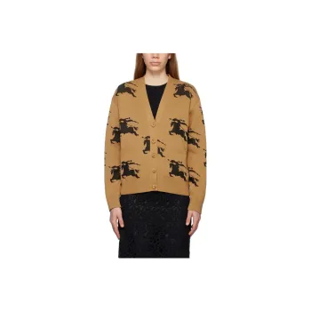 Burberry Sweaters Women's Tawny