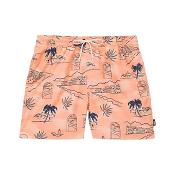 Vans Primary Print Elastic 17'' Boardshorts Casual Shorts Men's Bronze