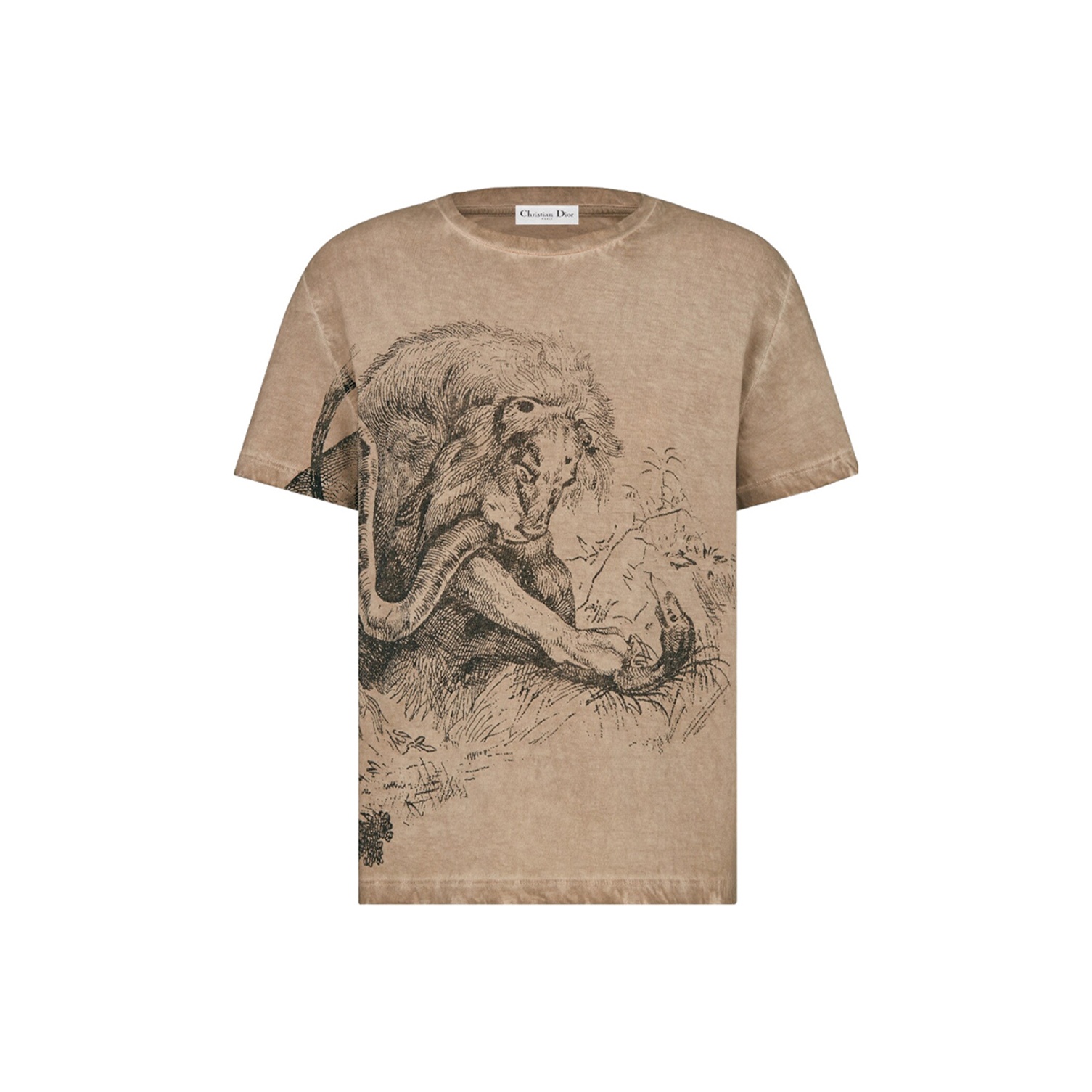 DIOR T-Shirts Women on Sale & Authentic - POIZON