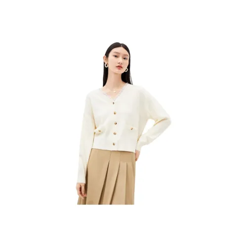 DESIGNICE 여성 스웨터