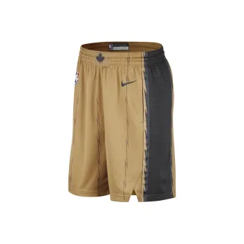 Nike Nba City Edition Toronto Raptors 2023/24 Dri Fit Swingman Shorts