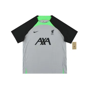 Nike Dri FIT Soccer Jersey Men's Wolf Gray