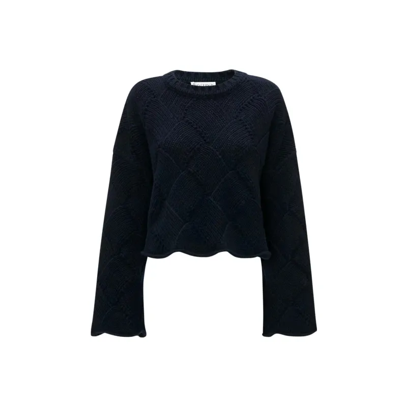 JW Anderson Sweaters Women's Navy-0