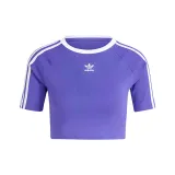 Blue Purple