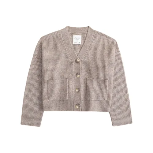 Abercrombie＆Fitch Sweaters Women's Taupe