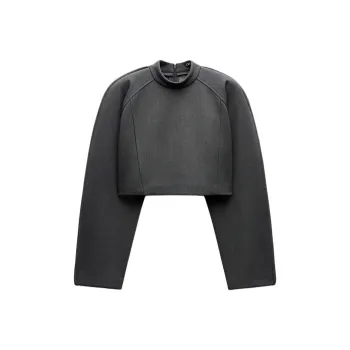 ZARA Crop Tops Women's Gray