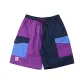 Purple Multicolor