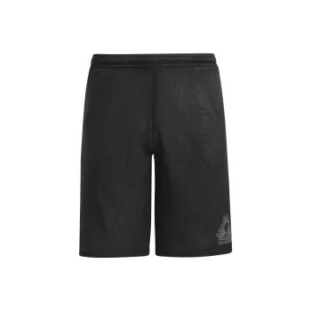 Reebok BASKETBALL ABOVE THE RIM SHORTS Basketball Shorts Men's Black